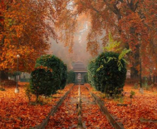 kashmir in Autumn